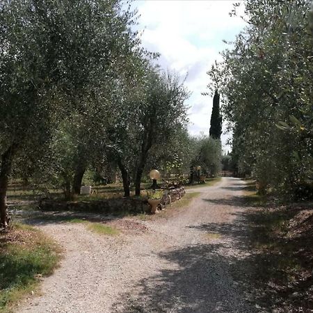 Nel Chianti Lungo La Francigena Apartment Colle Val D'Elsa Luaran gambar