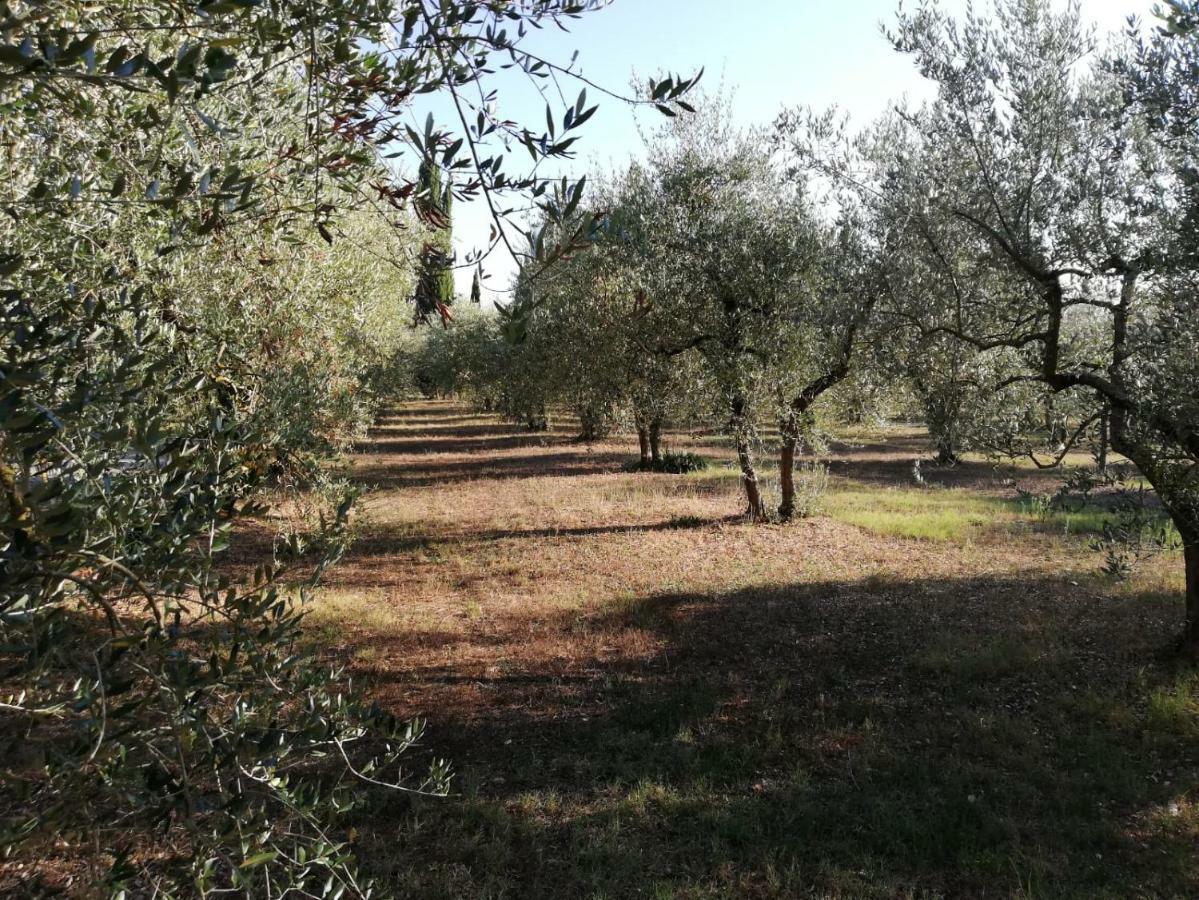 Nel Chianti Lungo La Francigena Apartment Colle Val D'Elsa Luaran gambar