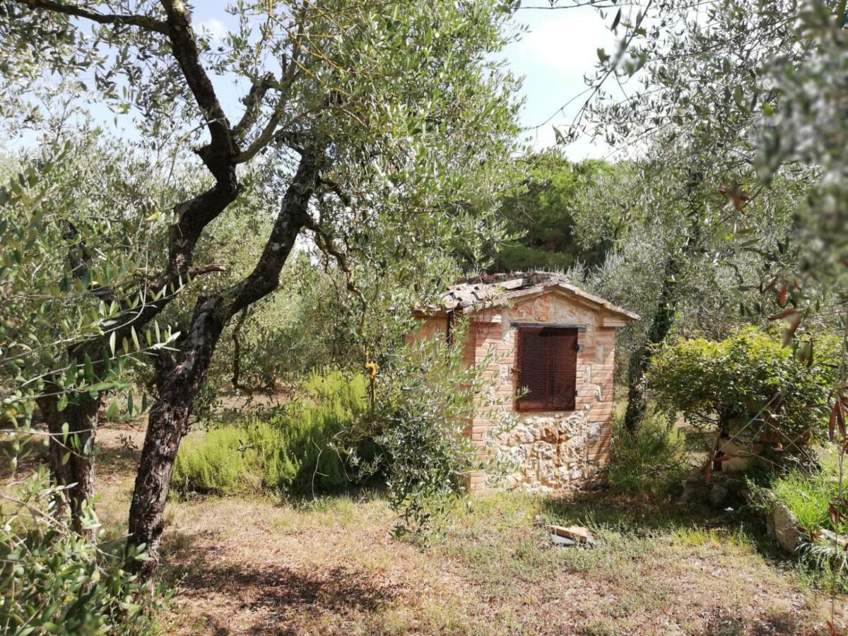 Nel Chianti Lungo La Francigena Apartment Colle Val D'Elsa Luaran gambar