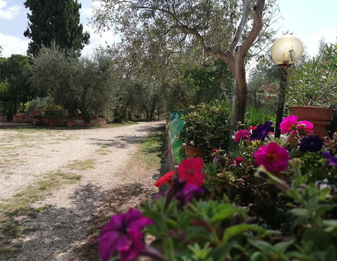 Nel Chianti Lungo La Francigena Apartment Colle Val D'Elsa Luaran gambar