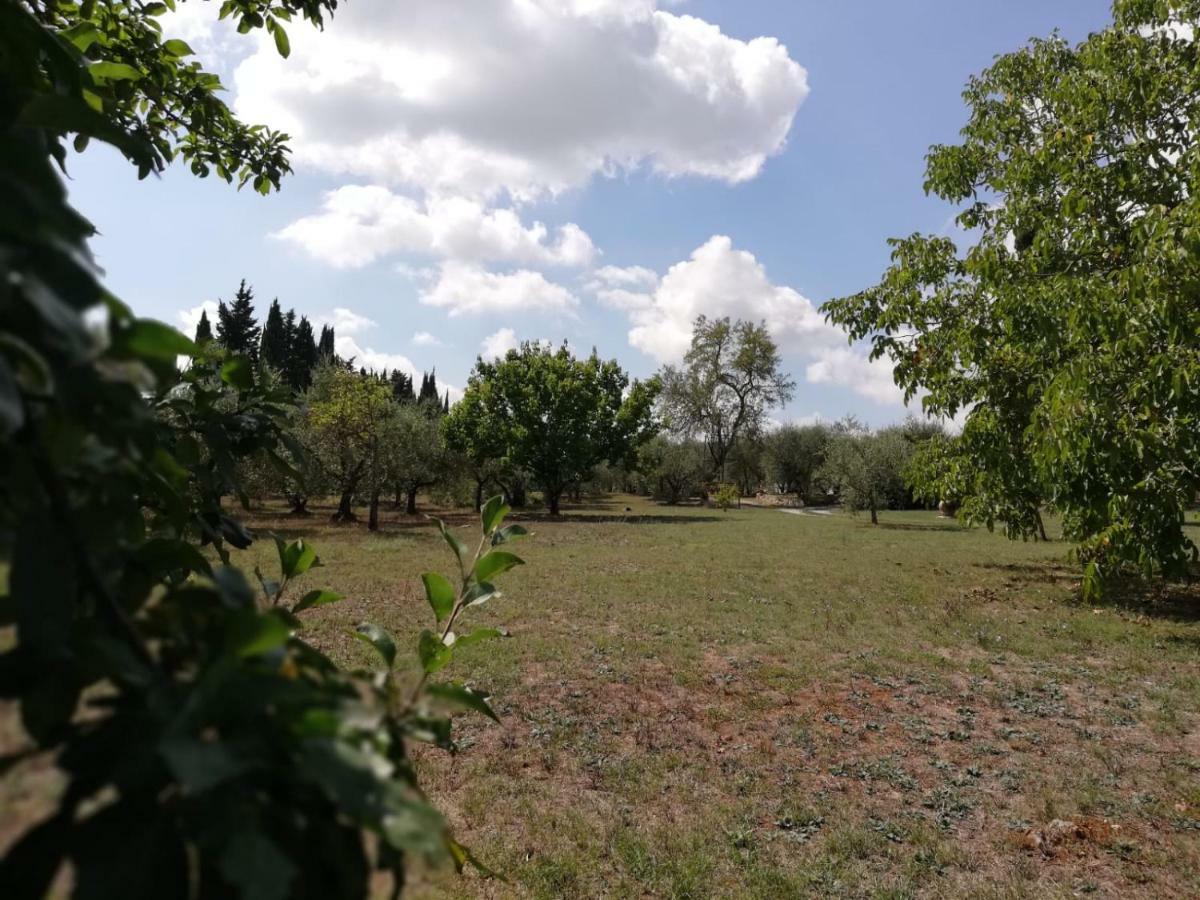 Nel Chianti Lungo La Francigena Apartment Colle Val D'Elsa Luaran gambar