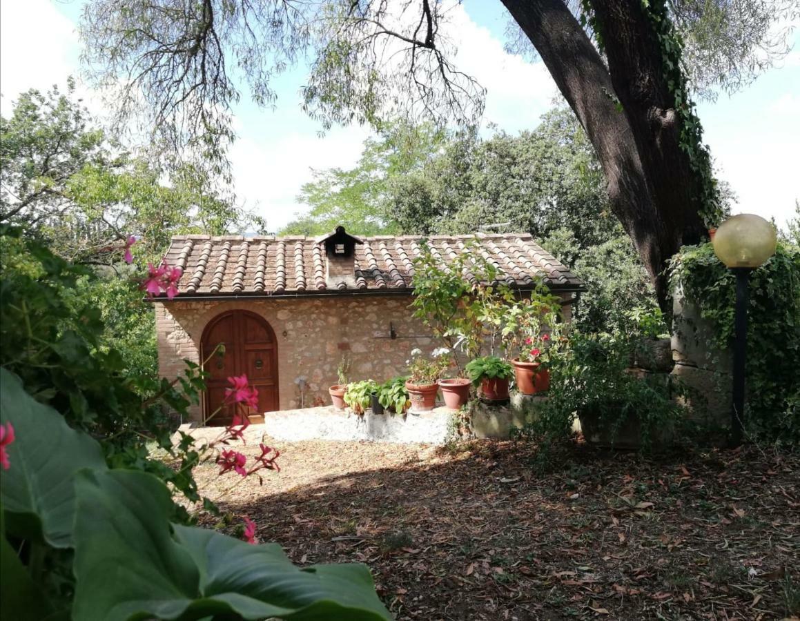 Nel Chianti Lungo La Francigena Apartment Colle Val D'Elsa Luaran gambar