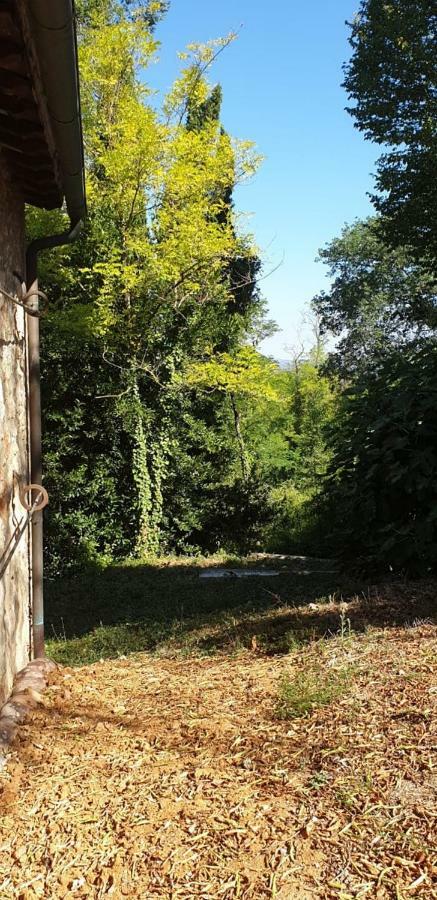 Nel Chianti Lungo La Francigena Apartment Colle Val D'Elsa Luaran gambar