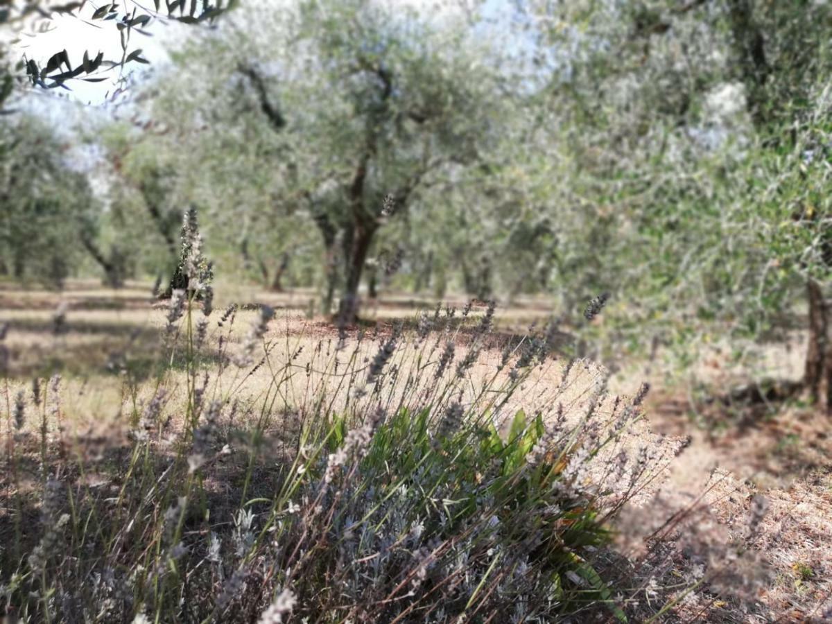 Nel Chianti Lungo La Francigena Apartment Colle Val D'Elsa Luaran gambar