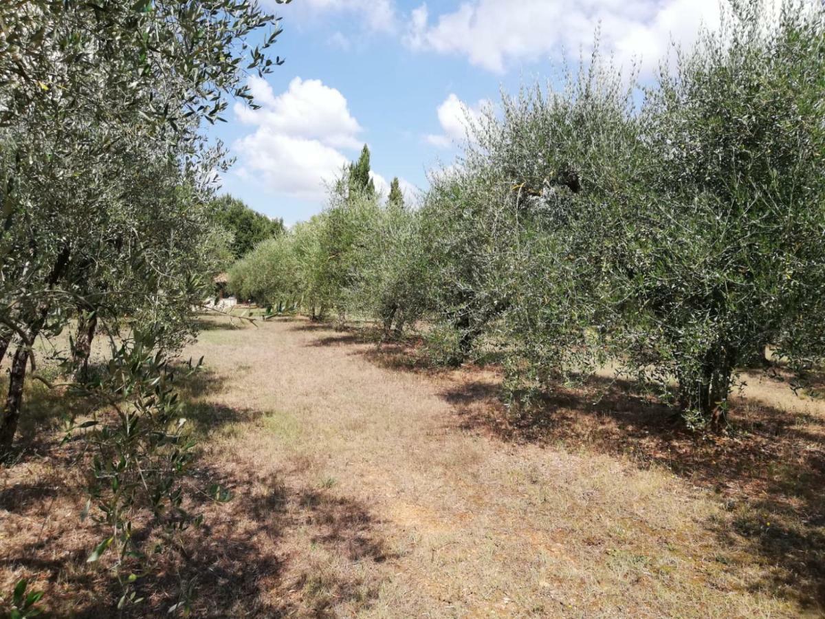 Nel Chianti Lungo La Francigena Apartment Colle Val D'Elsa Luaran gambar