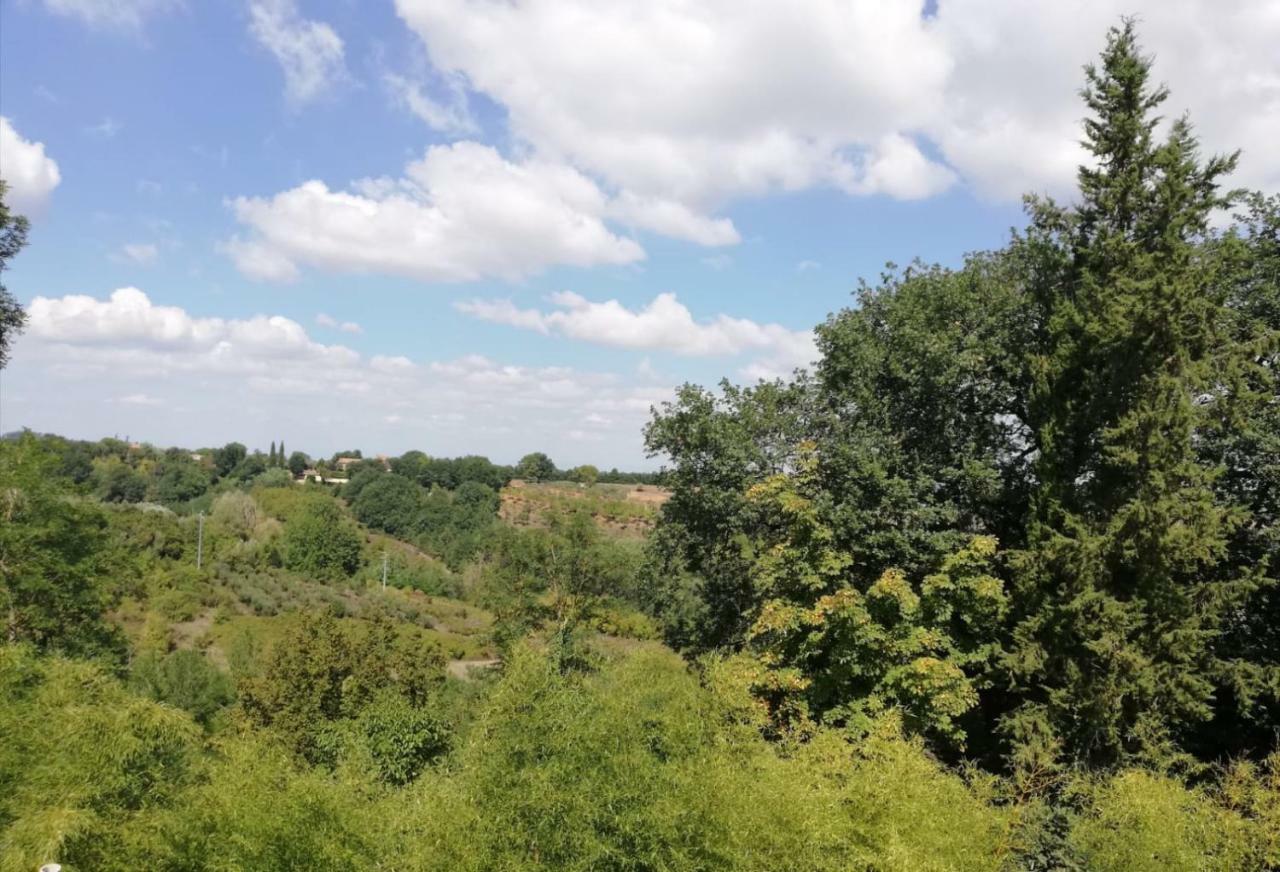 Nel Chianti Lungo La Francigena Apartment Colle Val D'Elsa Luaran gambar