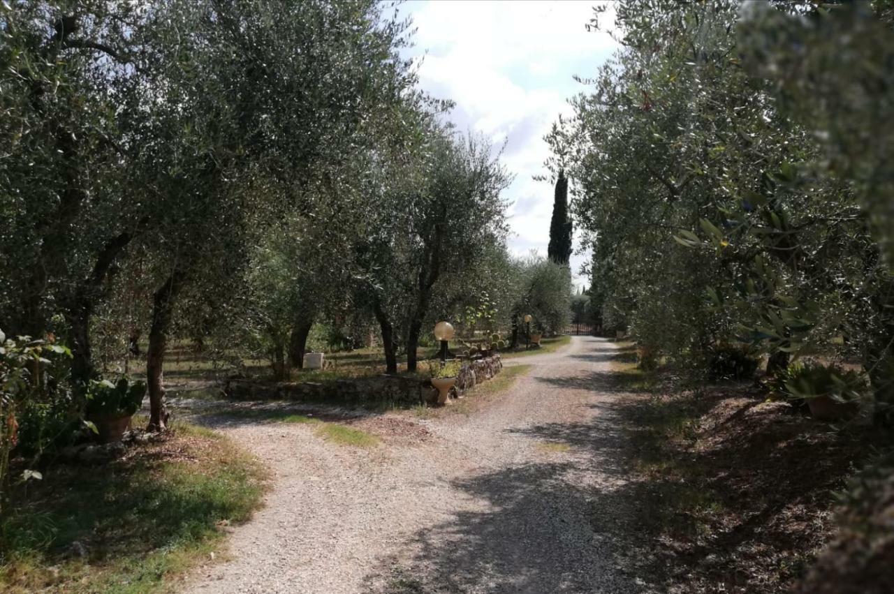 Nel Chianti Lungo La Francigena Apartment Colle Val D'Elsa Luaran gambar
